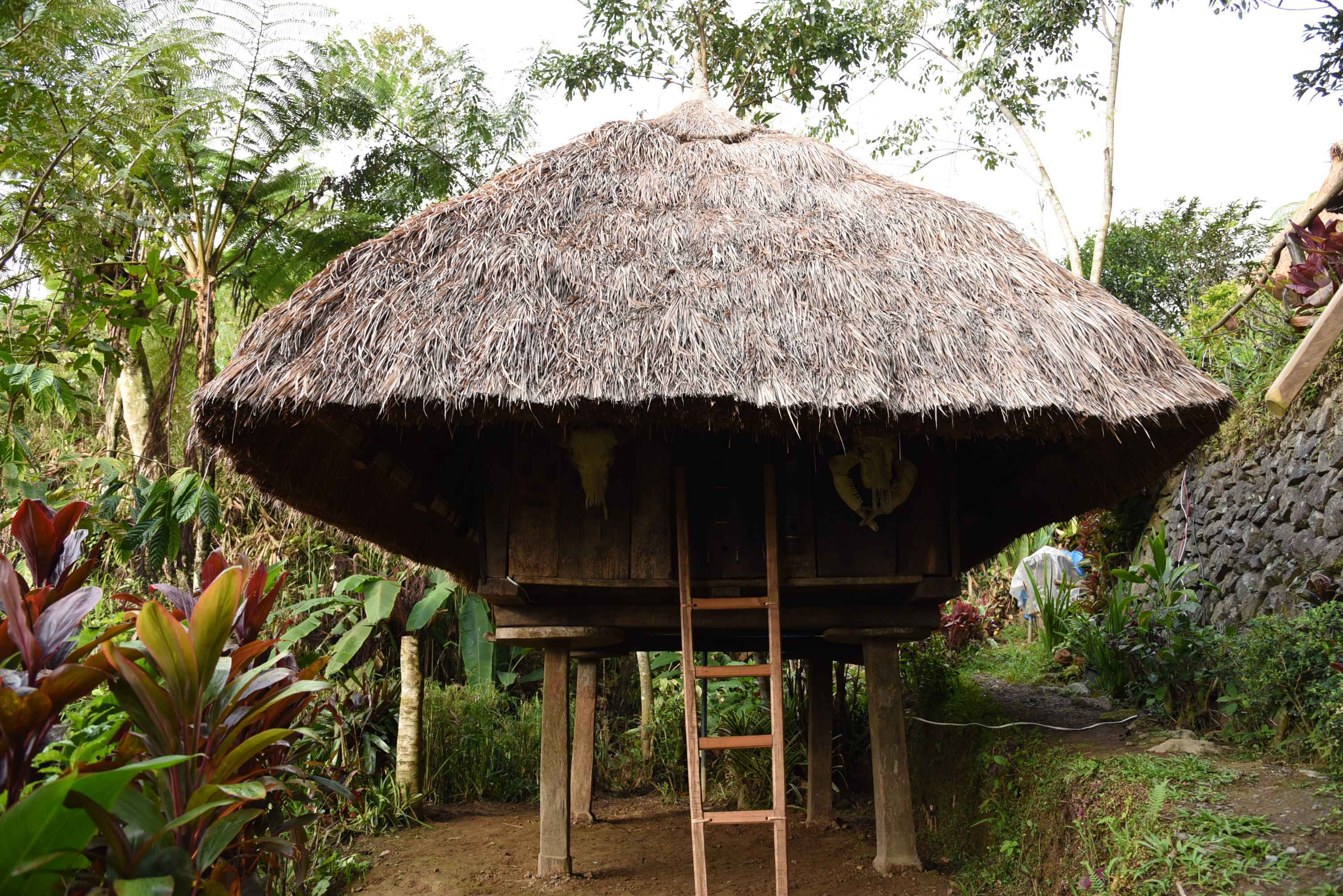 Ifugao Huts At The Garden Banaue Heritage Hotel And Museum